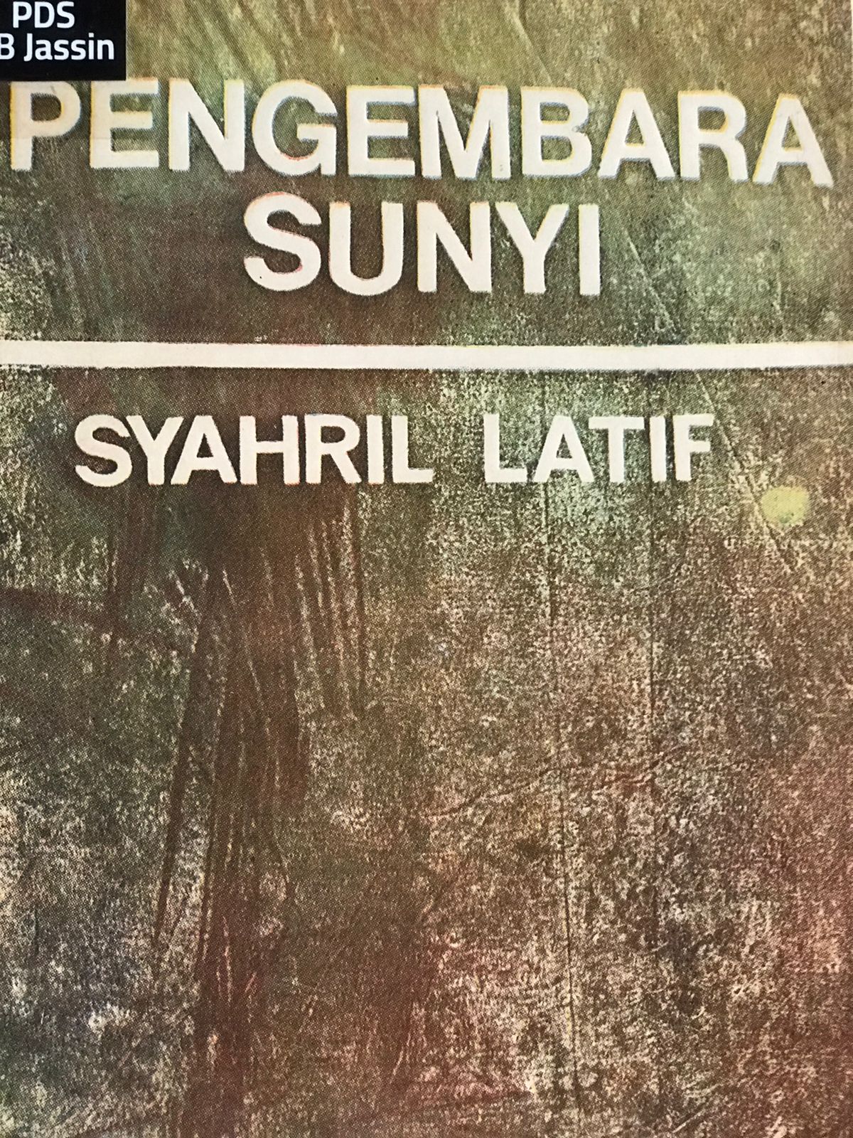 Pengembara sunyi