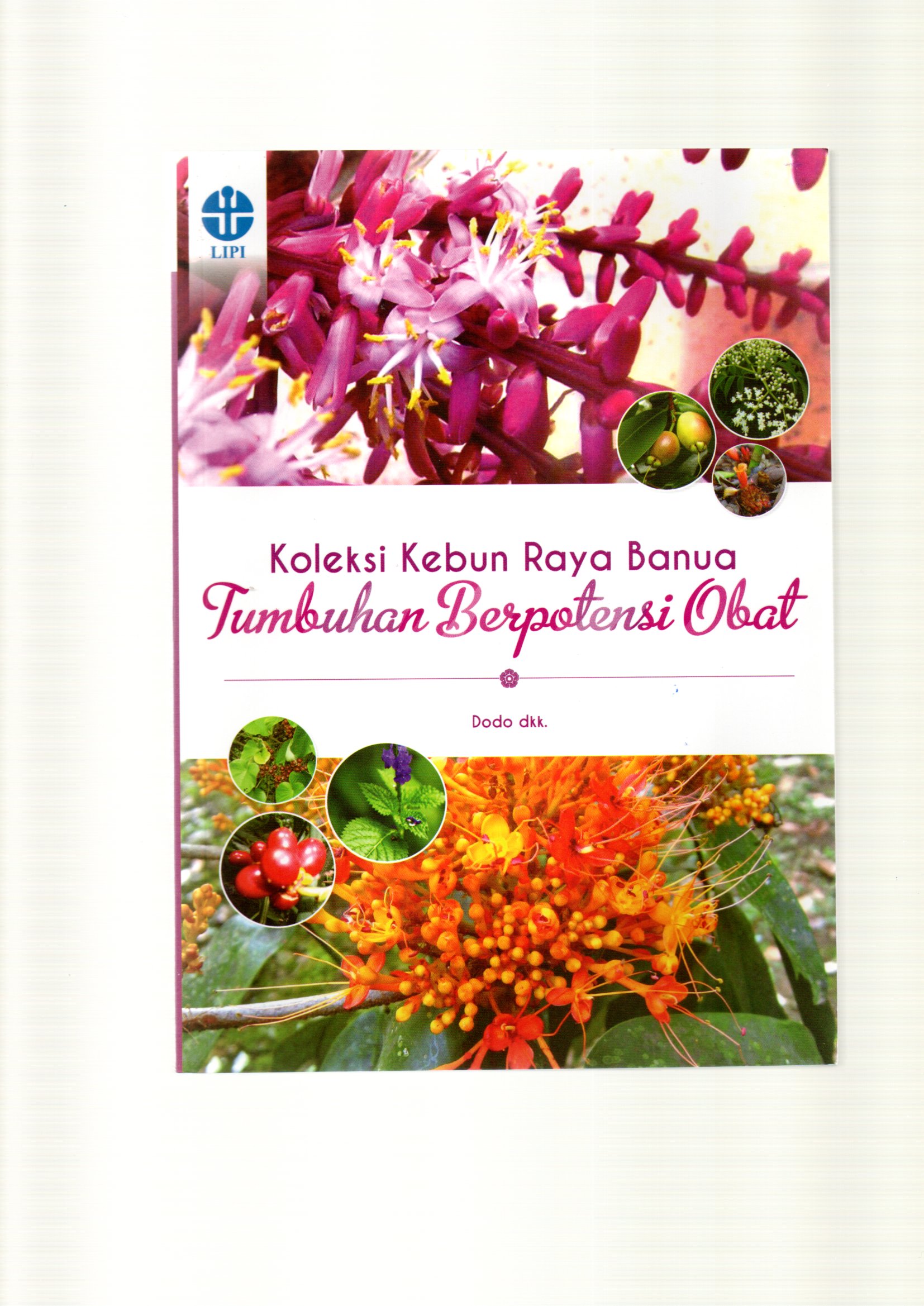 Koleksi kebun raya banua : tumbuhan berpotensi obat