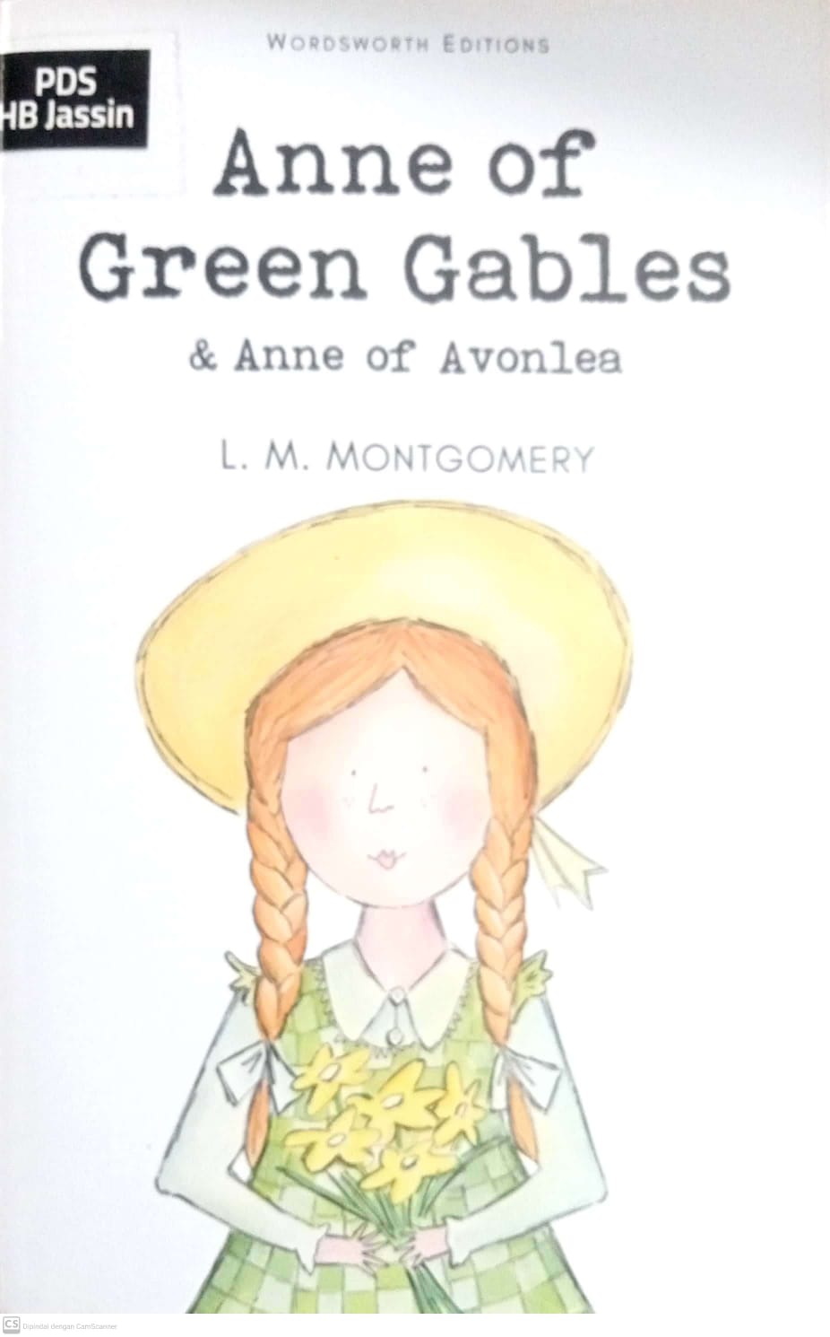 Anne Of Green Gables & Anne Of Avonlea