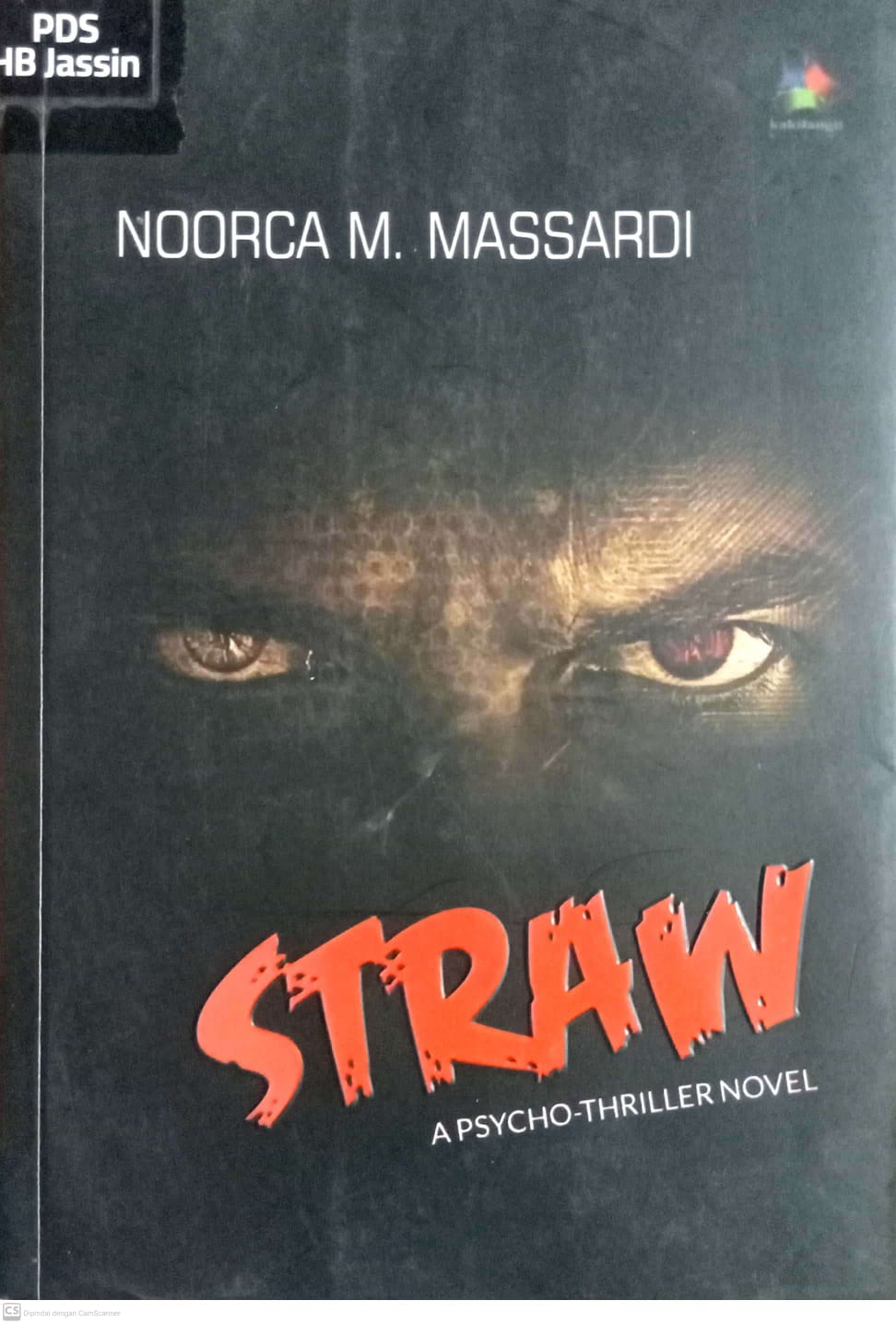 Straw : A Psycho-thriller Novel / Noorca M. Massardi