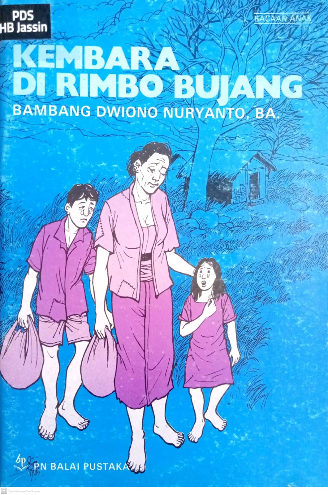 Kembara Di Rimbo Bujang