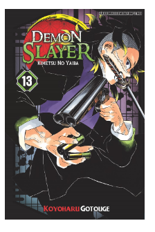 Demon slayer : kimetsu no yaiba 13