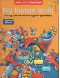 My Human Body Amazing Facts and How the Disgestive System Works : Digestive System