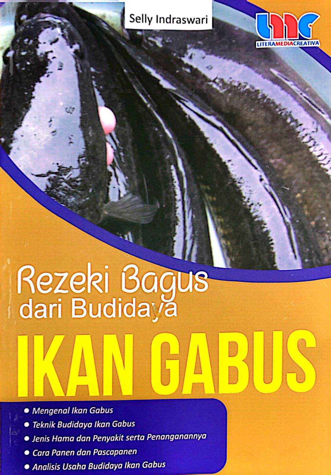 Rezeki bagus dari budidaya Ikan Gabus