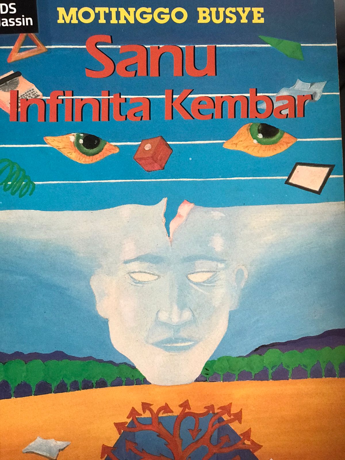 Sanu infinita kembar