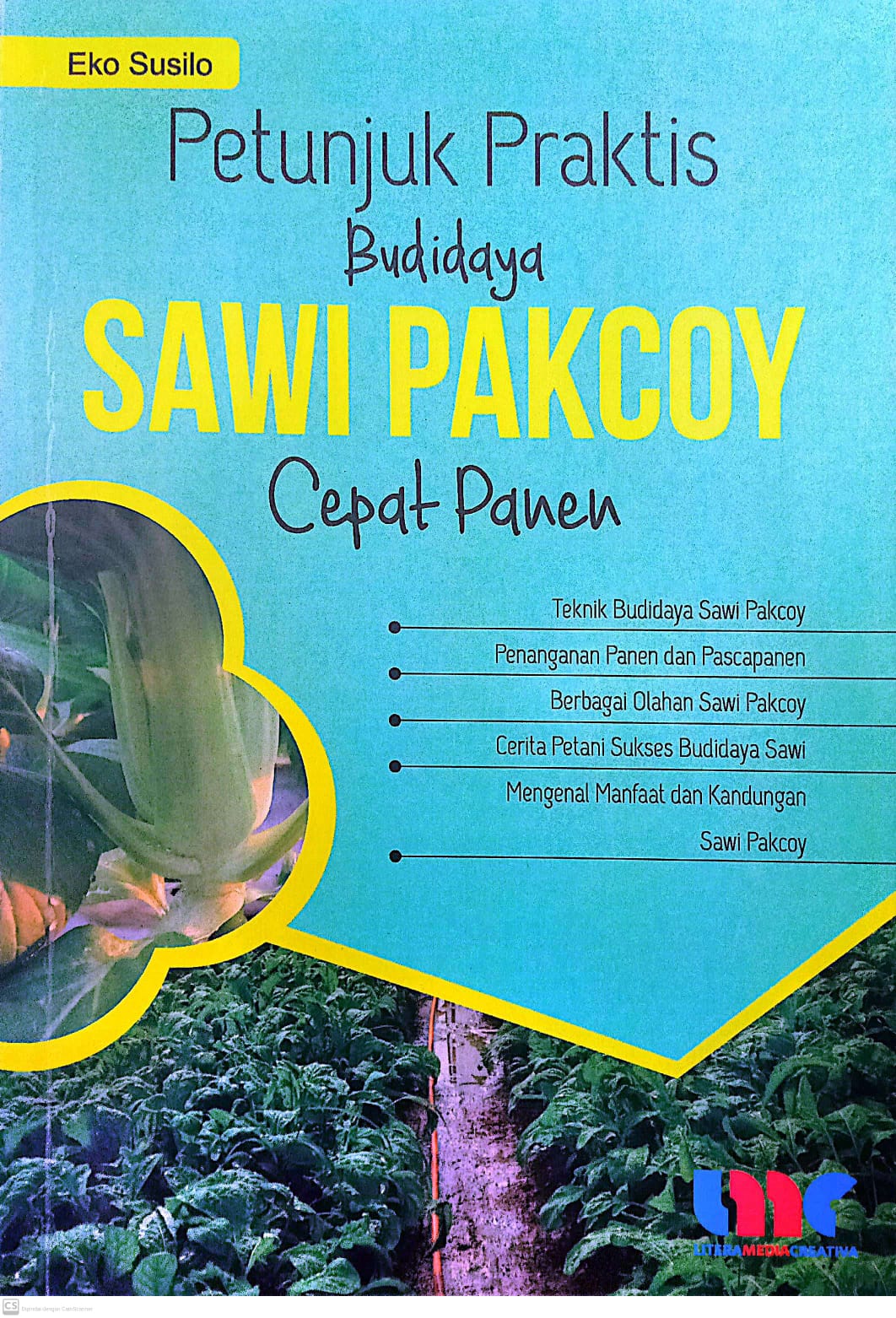 Petunjuk praktis budidaya sawi pakcoy cepat panen