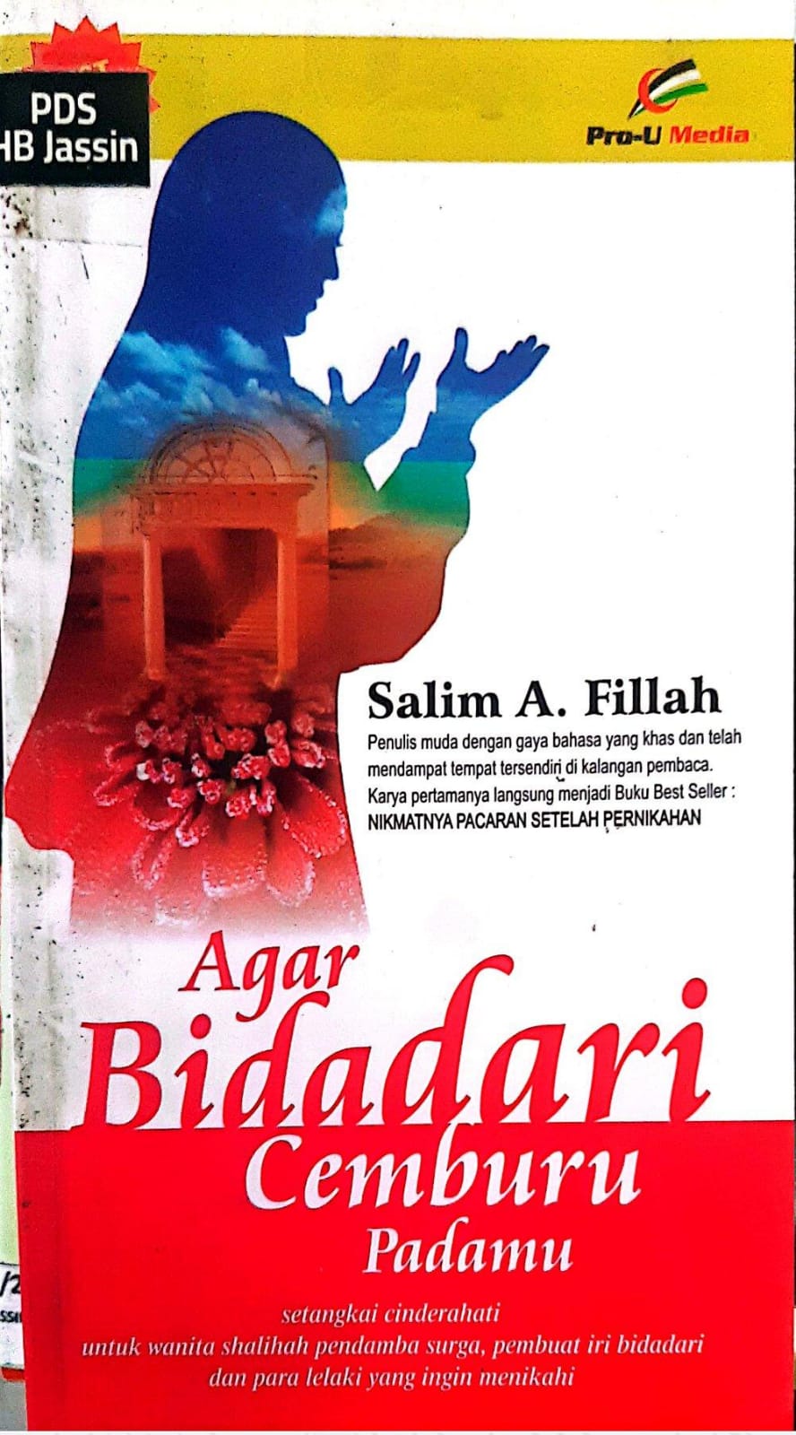 Agar Bidadari Cemburu Padamu