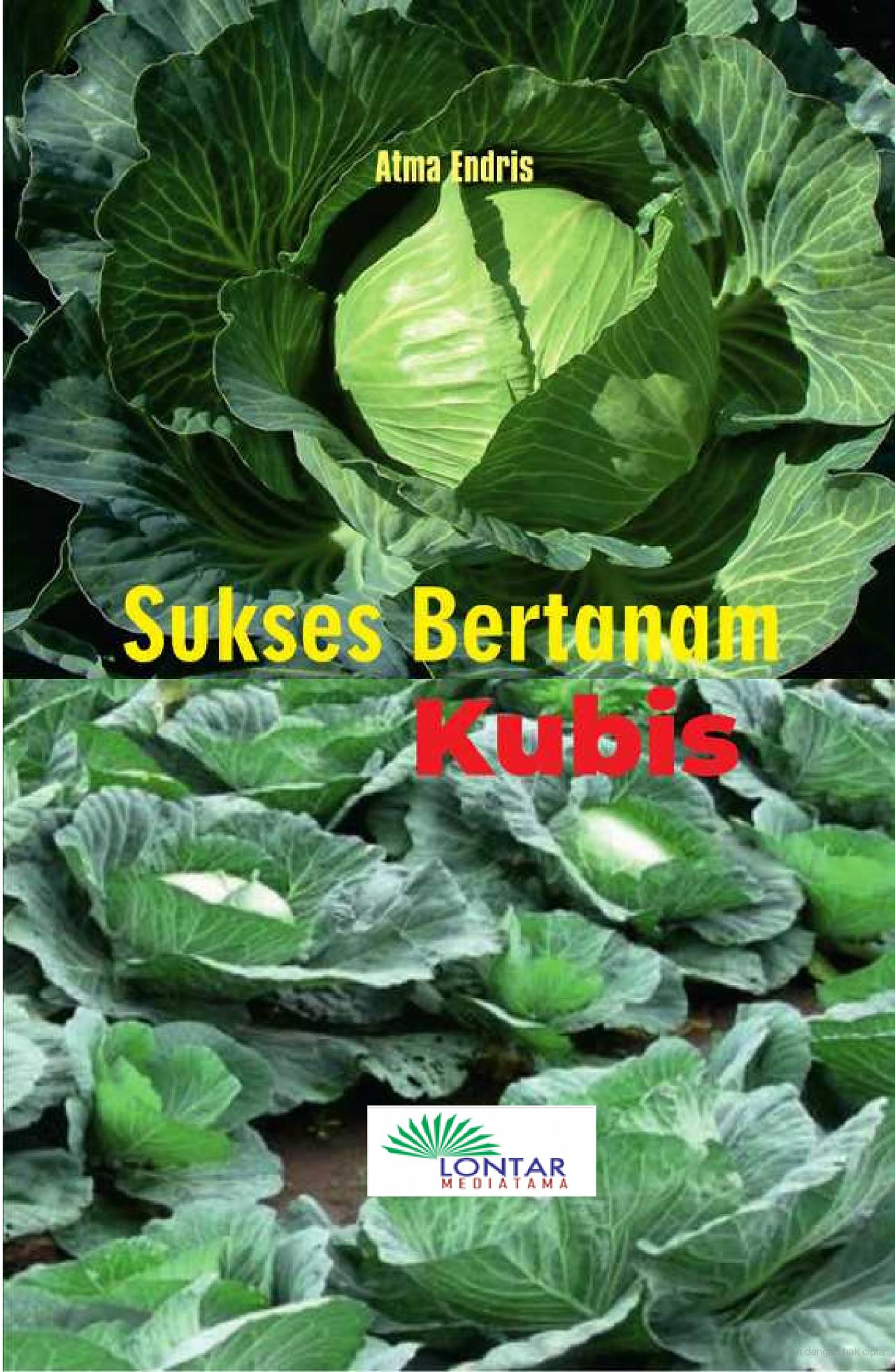 Sukses bertanam kubis