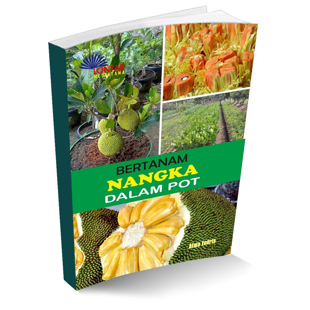 Bertanam nangka dalam pot