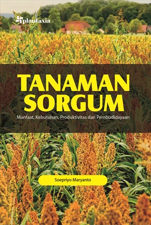 Tanaman sorgum : manfaat, kebutuhan, produktivitas dan pembudidayaan