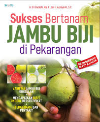 Sukses bertanam jambu biji di pekarangan :  Rajin berbuah di pot dan lahan / Sri Hadiati