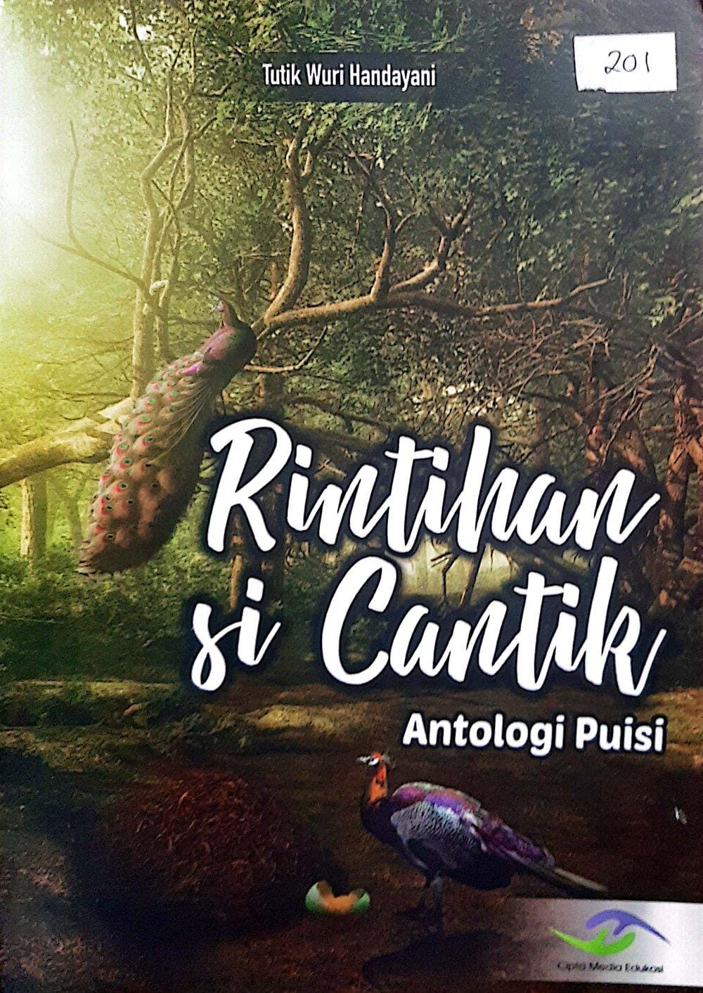 Rintihan Si Cantik