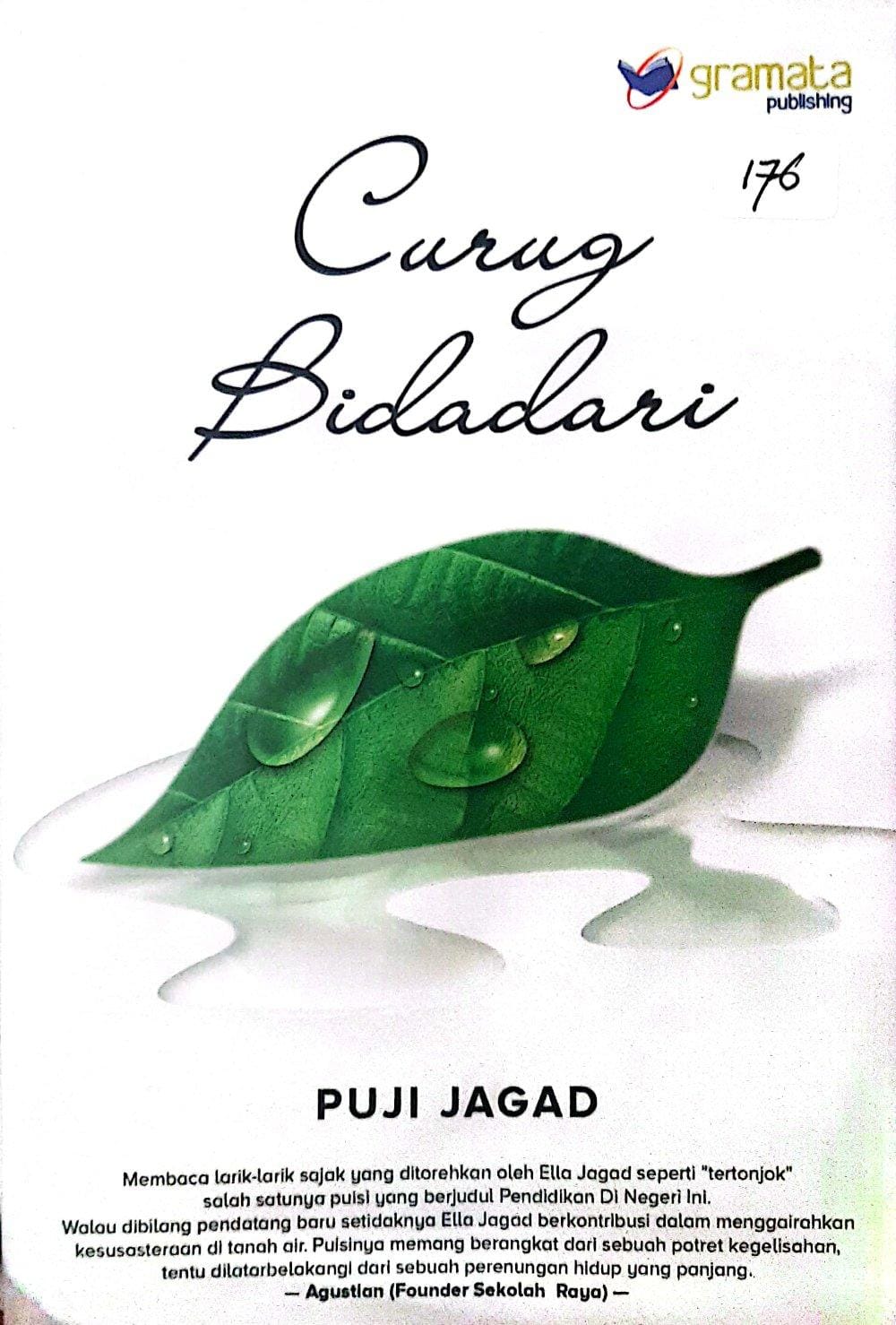 Curug Bidadari / Puji Jagad