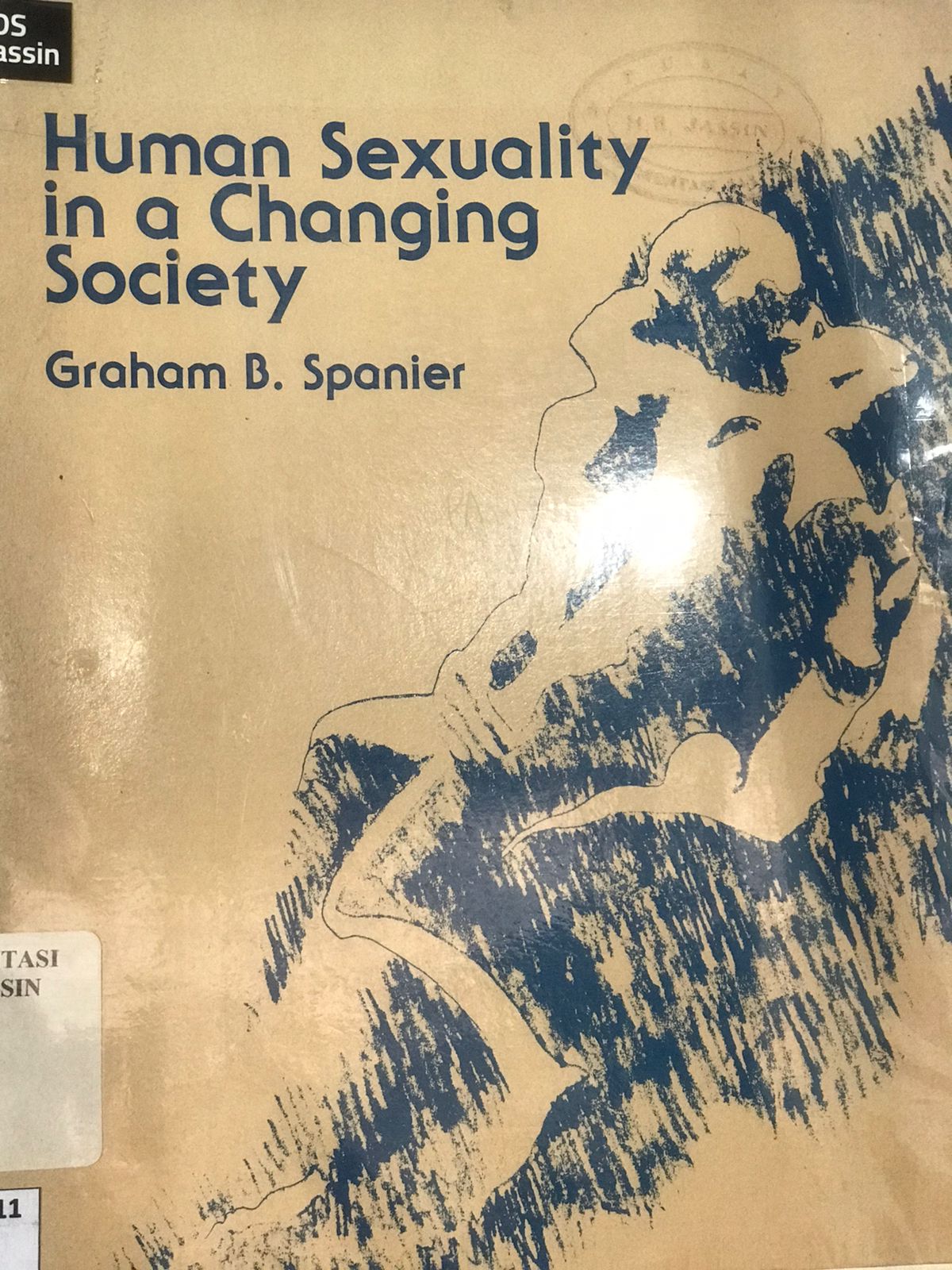 Human sexuality in a changing society