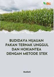 Budidaya hijauan pakan ternak unggul dan hokiantea dengan metode stek