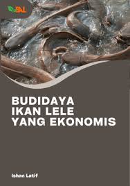 Budidaya Ikan Lele Yang Ekonomis