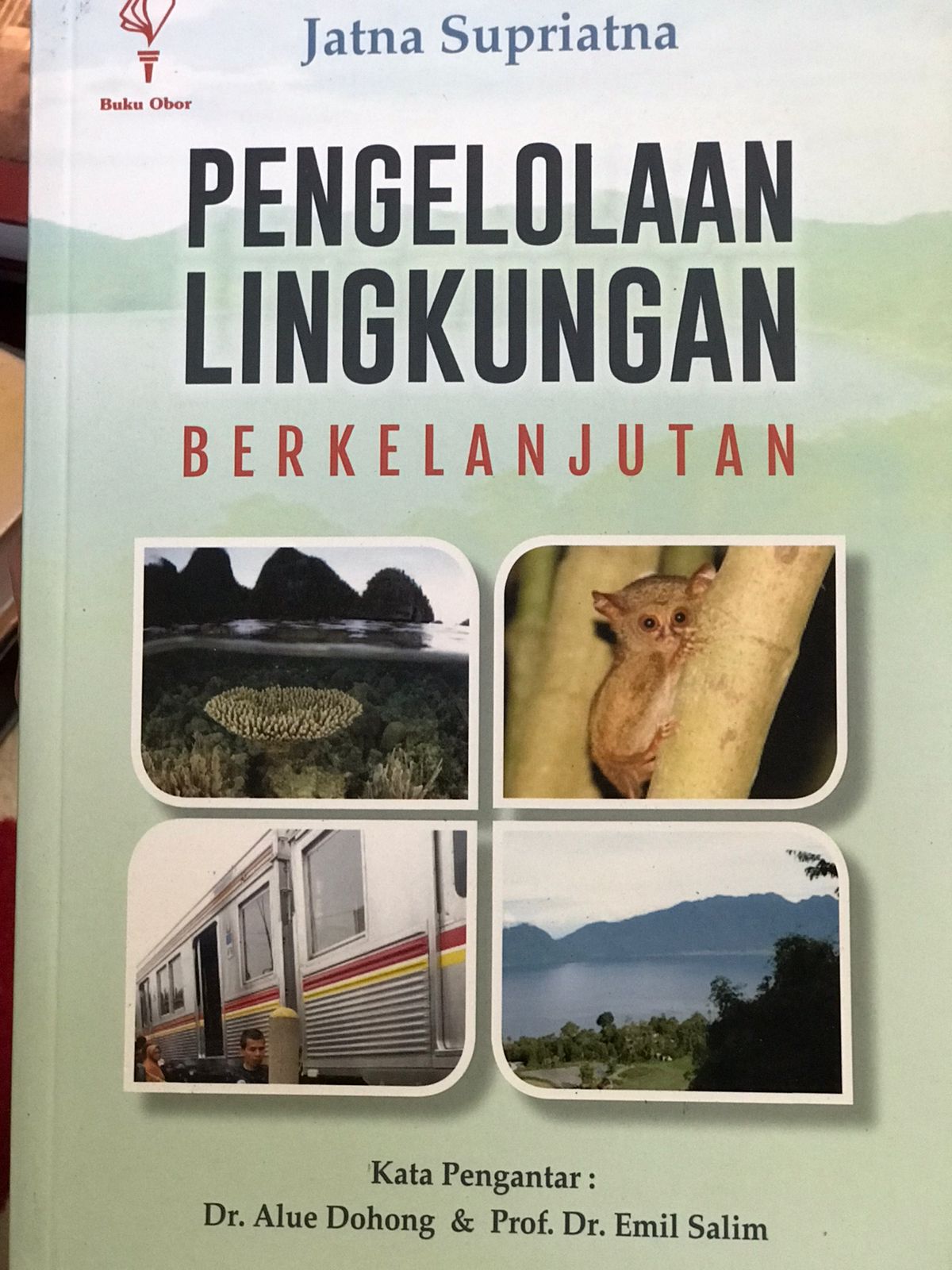 Pengelolaan lingkungan berkelanjutan