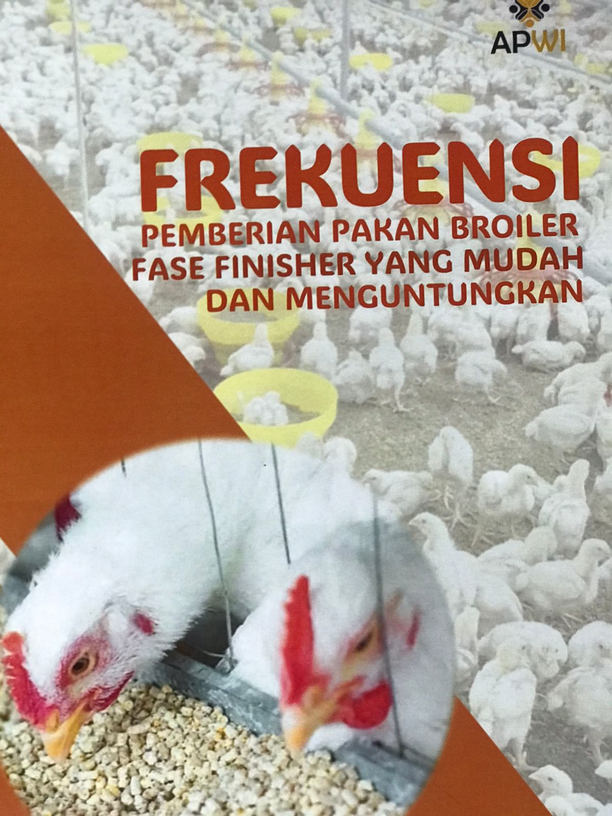 Frekuensi pemberian pakan broiler fase finisher yang mudah dan mengutungkan