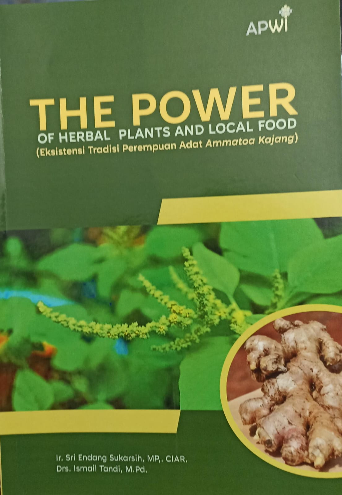 The power of herbal plants and local food : ( eksistensi tradisi perempuan adat ammatoa kajang )