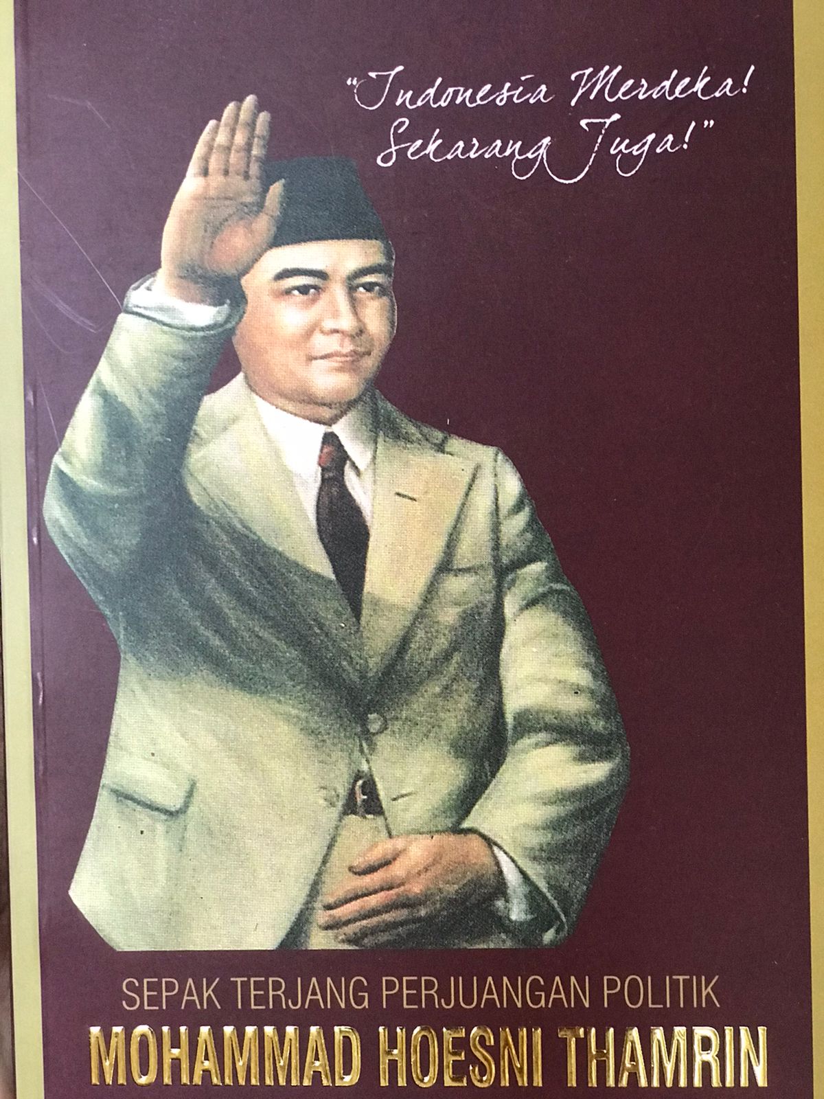 Sepak terjang perjuangan politik Mohammad Hoesni Thamrin