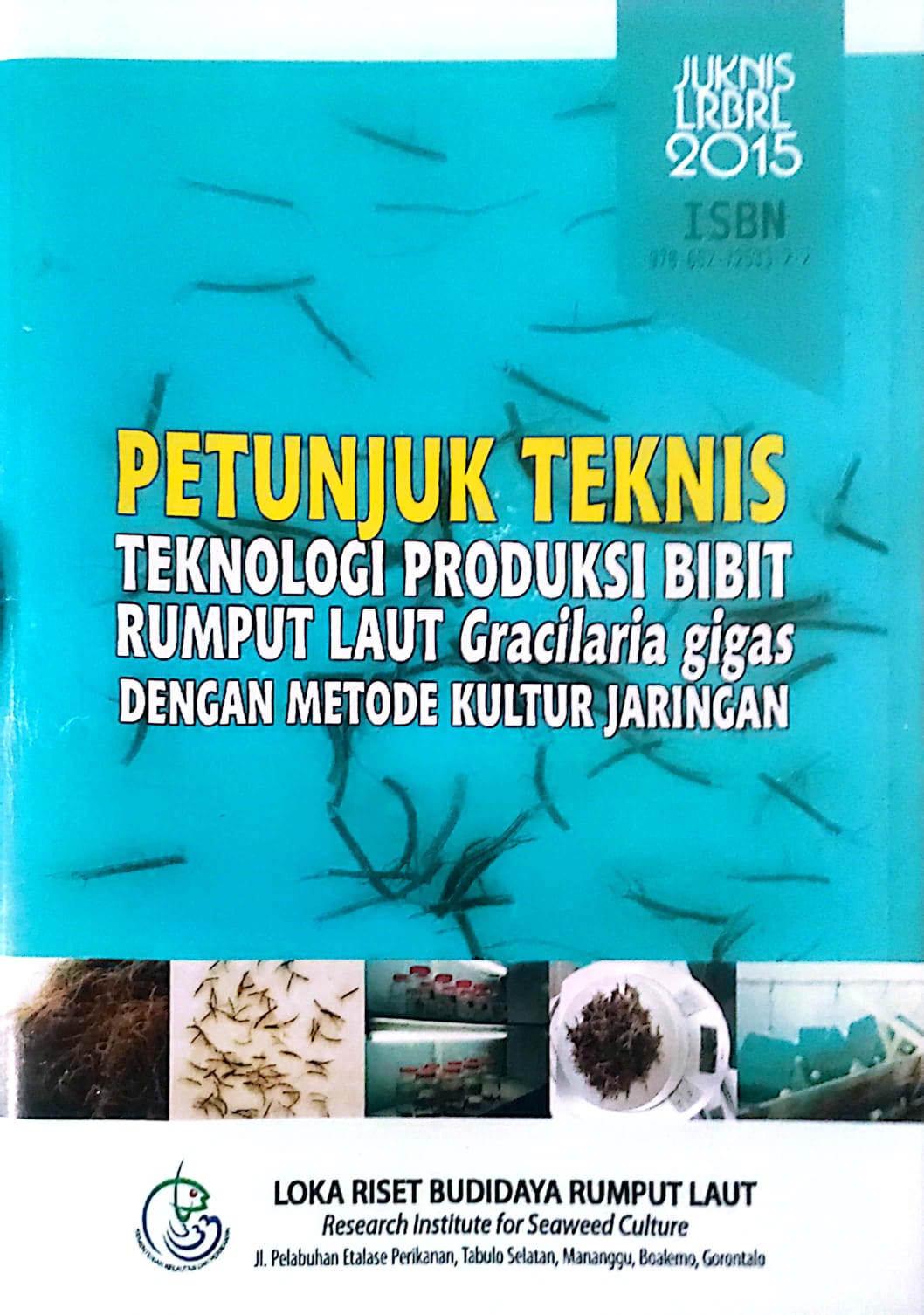 Teknologi Produksi Bibit Rumput Laut Gracilaria Gigas Dengan Metode Kultur Jaringan