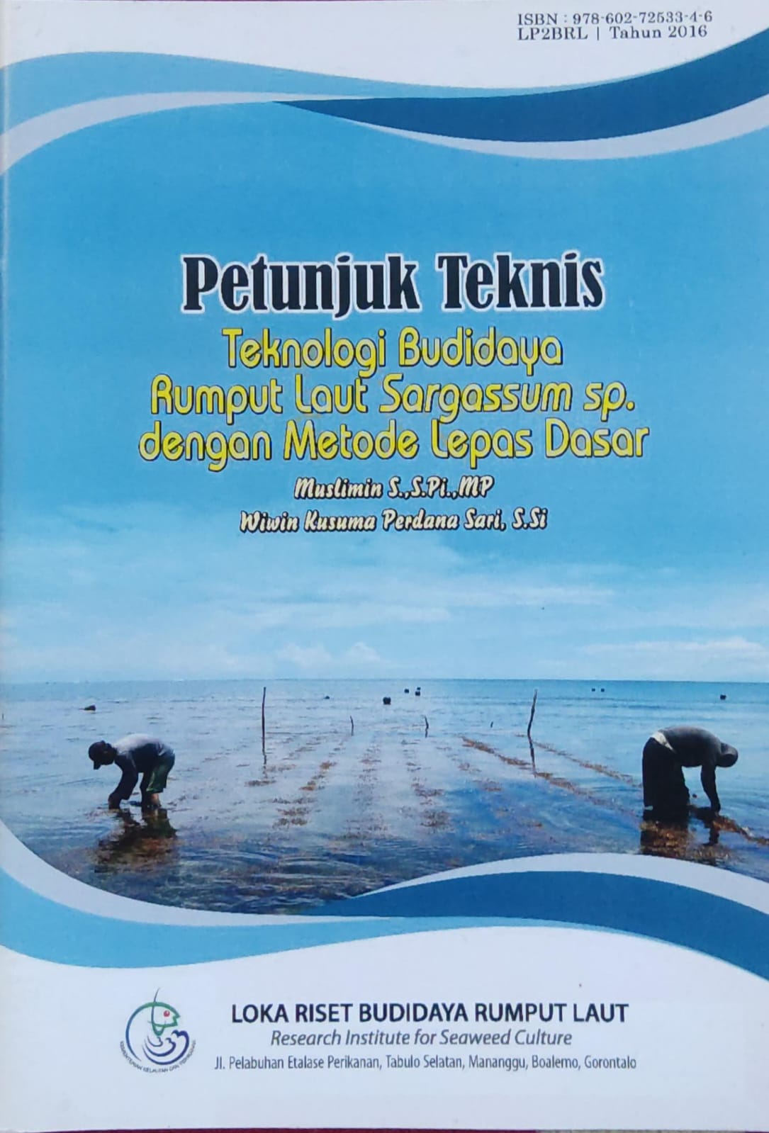 Petunjuk teknis teknologi budidaya rumput laut sargassum sp. dengan metode lepas dasar