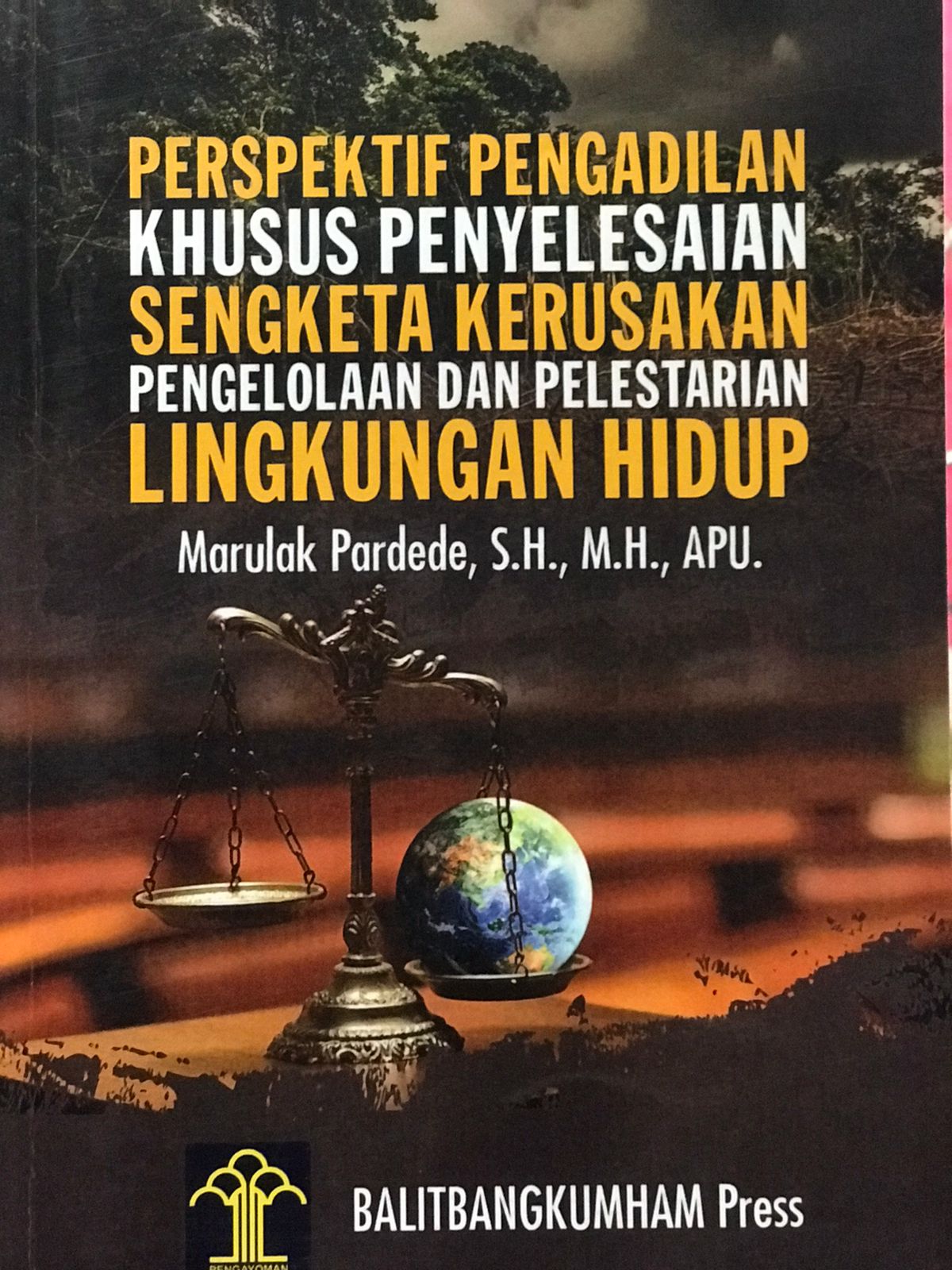 Perspektif pengadilan khusus penyelesaian sengketa kerusakan pengelolaan dan pelestarian lingkungan hidup