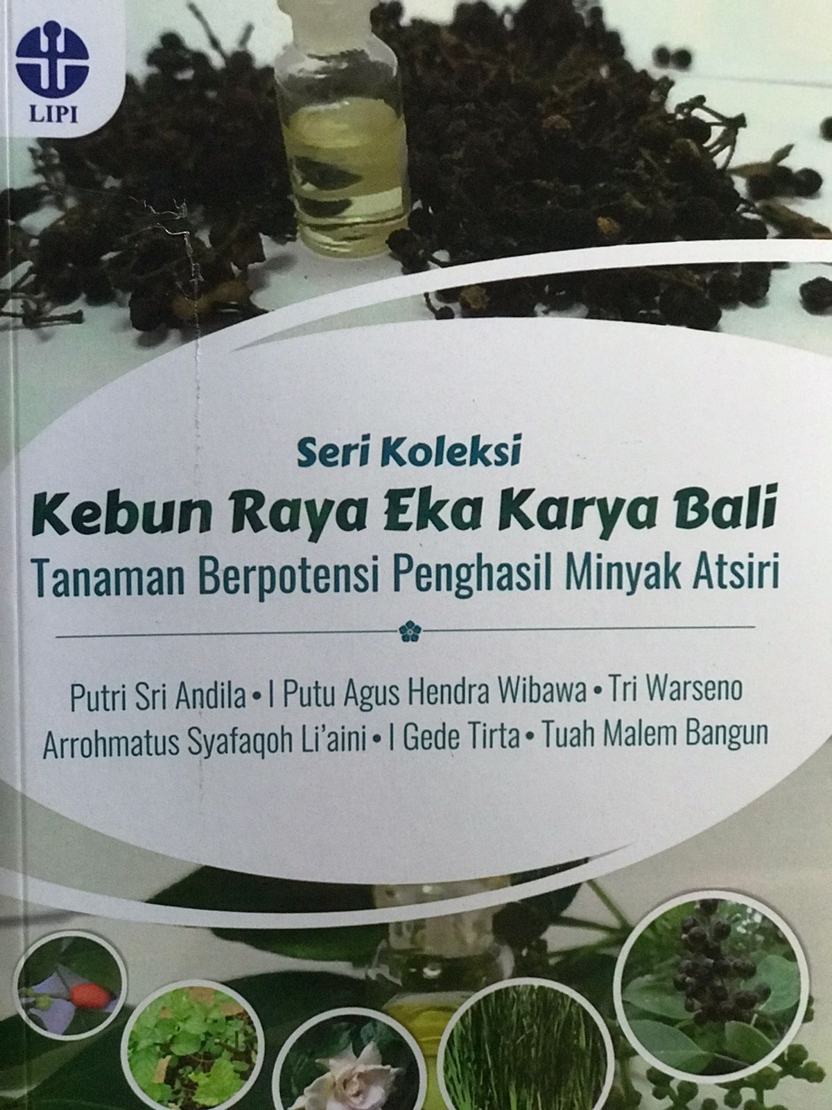 Seri koleksi kebun raya eka karya Bali : Tanaman berpotensi penghasil minyak atsiri