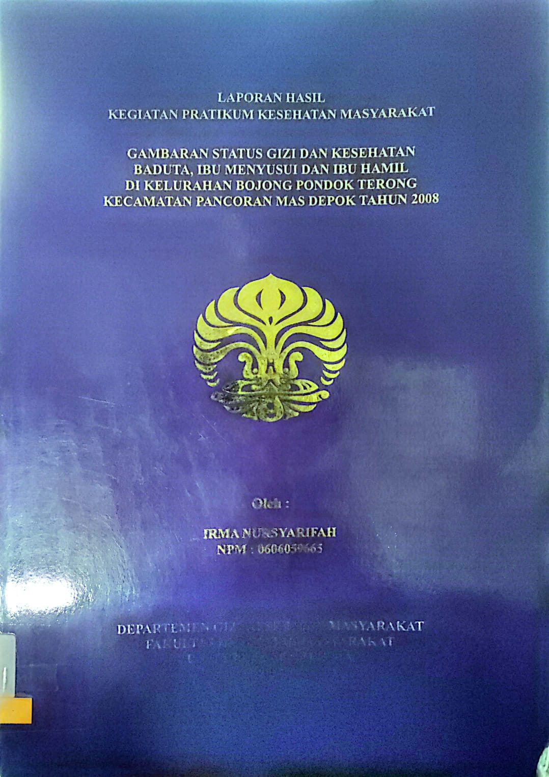 Gambaran Status Gizi dan Kesehatan Baduta, Ibu menyusui dan Ibu Hamil di Kelurahan Bojong Pondok Terong Kecamatan Pancoran Mas Depok tahun 2008 : Laporan Hasil Kegiatan Praktikum Kesehatan Masyarakat