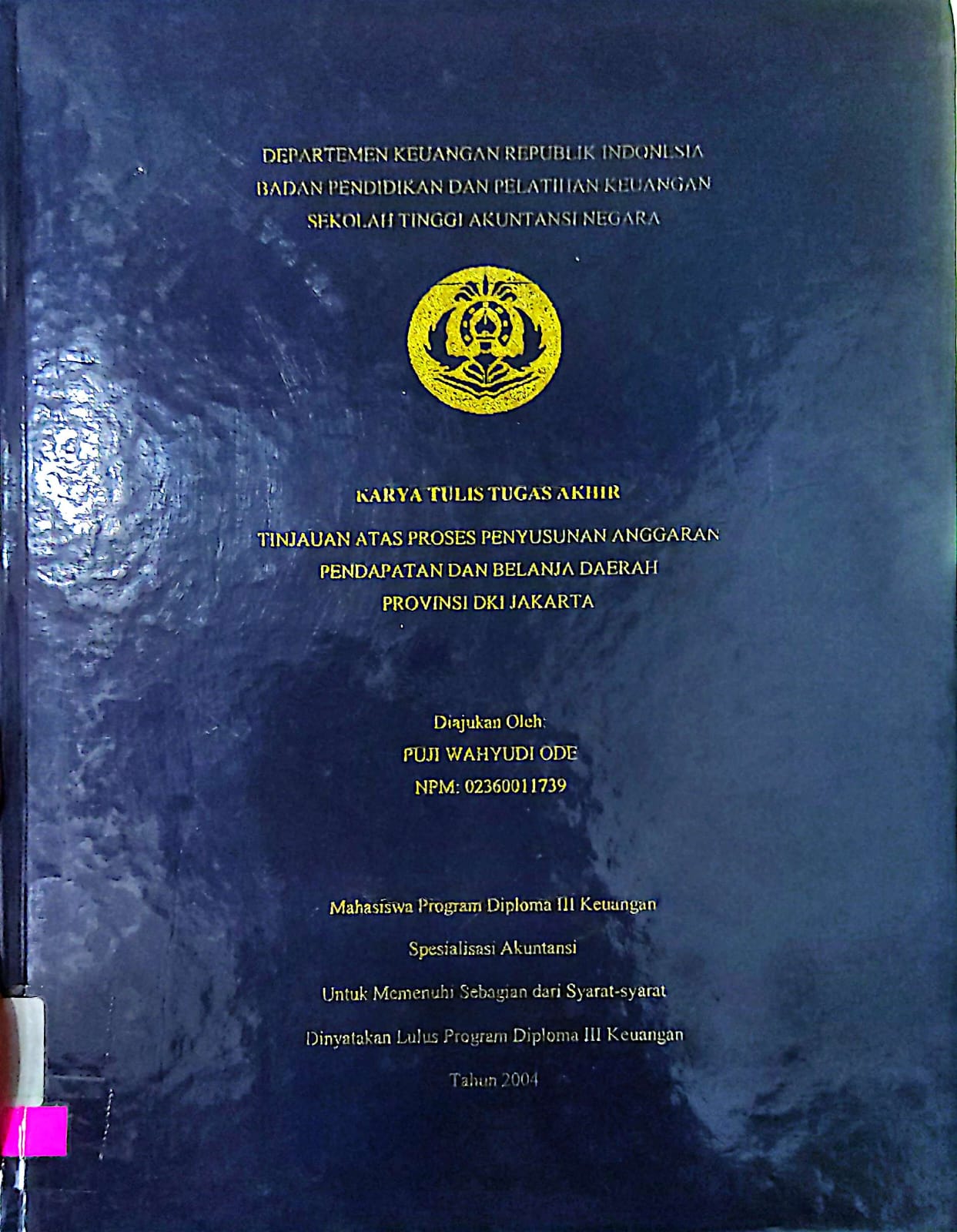 Tinjauan atas proses penyusunan anhggaran pendapatan dan belanja daerah provinsi DKI Jakarta / Puji Wahyudi Ode