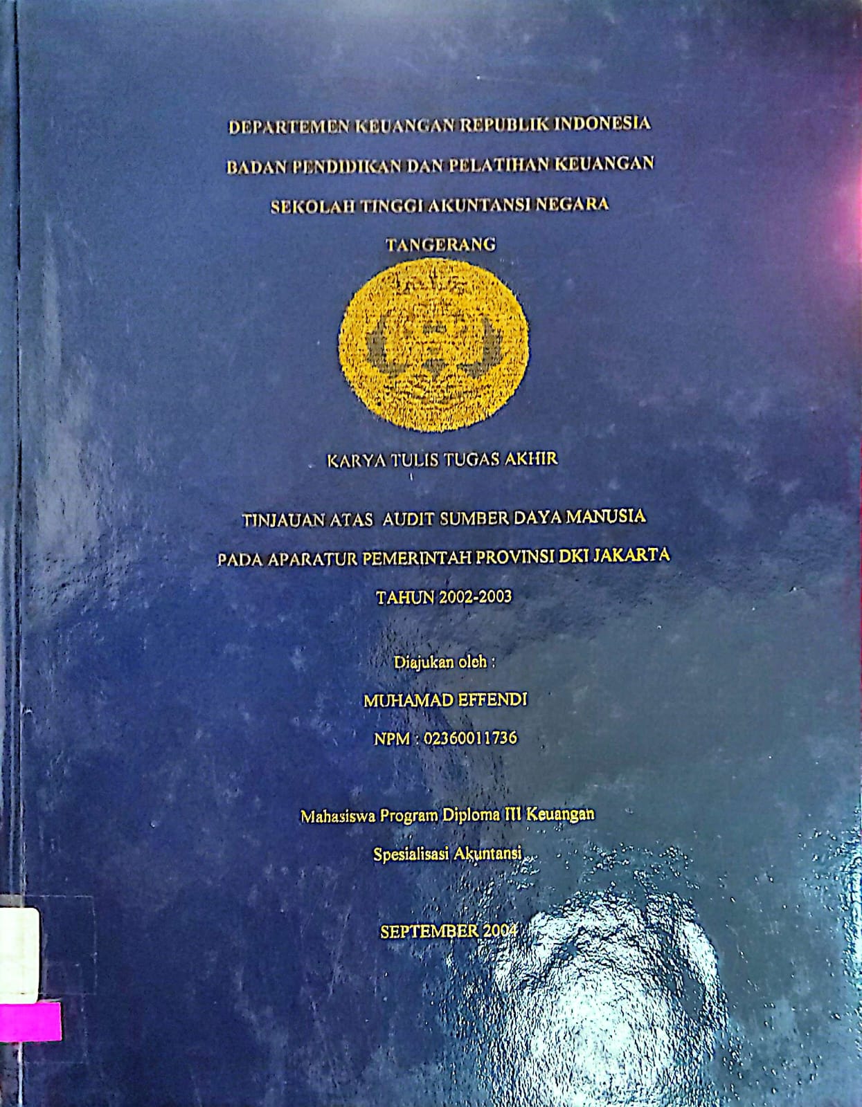 tinjauan atas audit sumber daya manusia pada aparatur pemerintah provinsi DKI Jakarta tahun 2002-2003