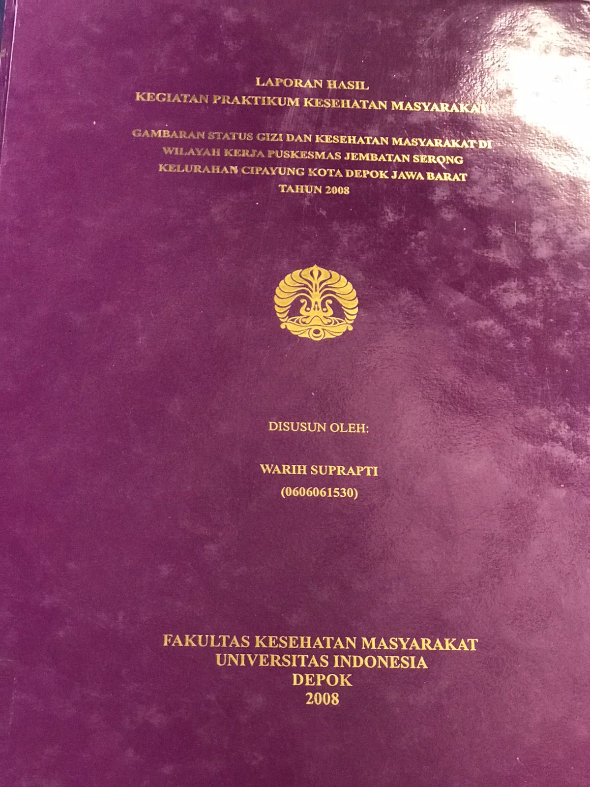 Gambaran status gizi dan kesehatan masyarakat di wilayah kerja puskesmas jembatan serong kelurahann cipayung kota depok jawa barat