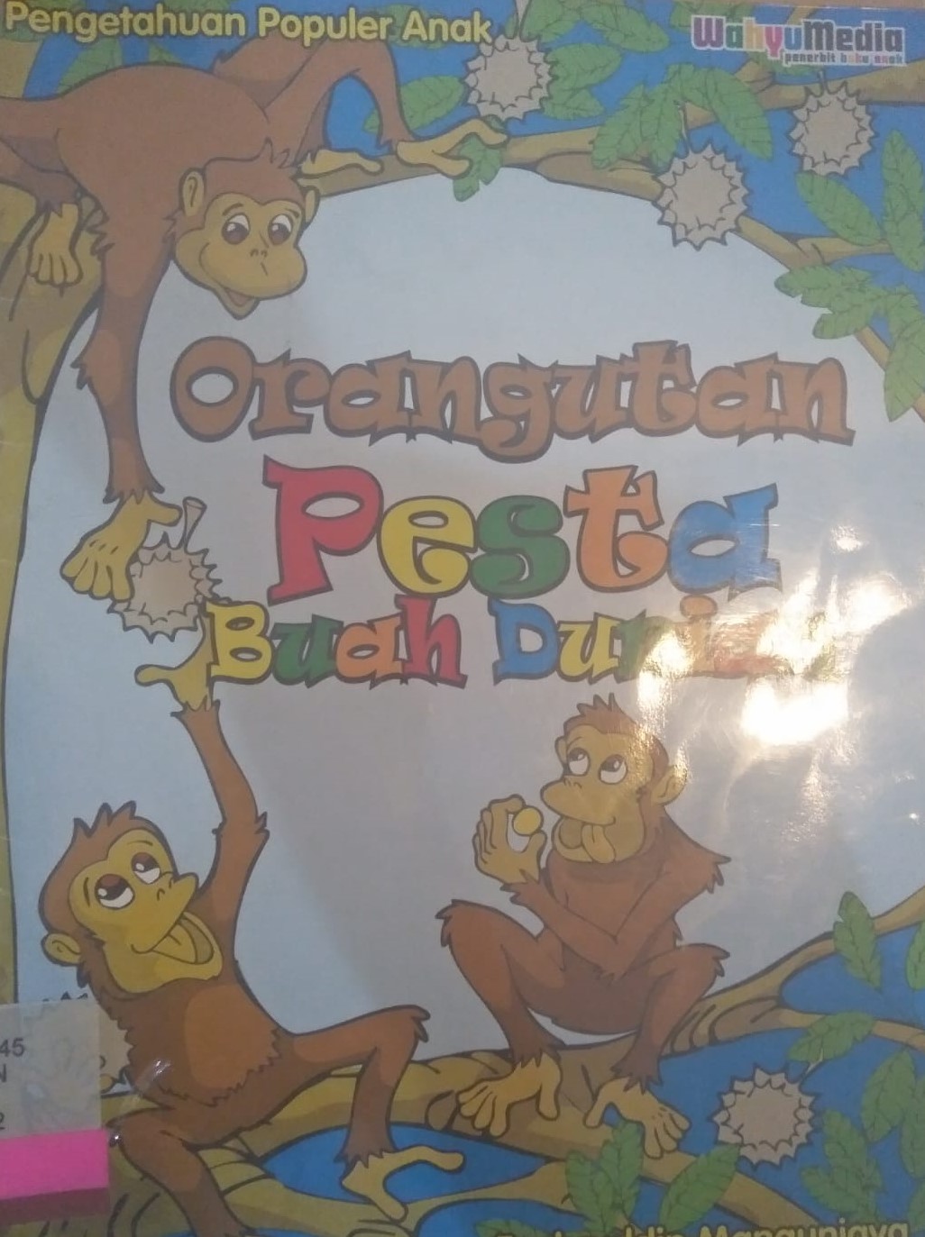 Orangutan Pesta Buah Durian / Fachruddin Mangunwijaya