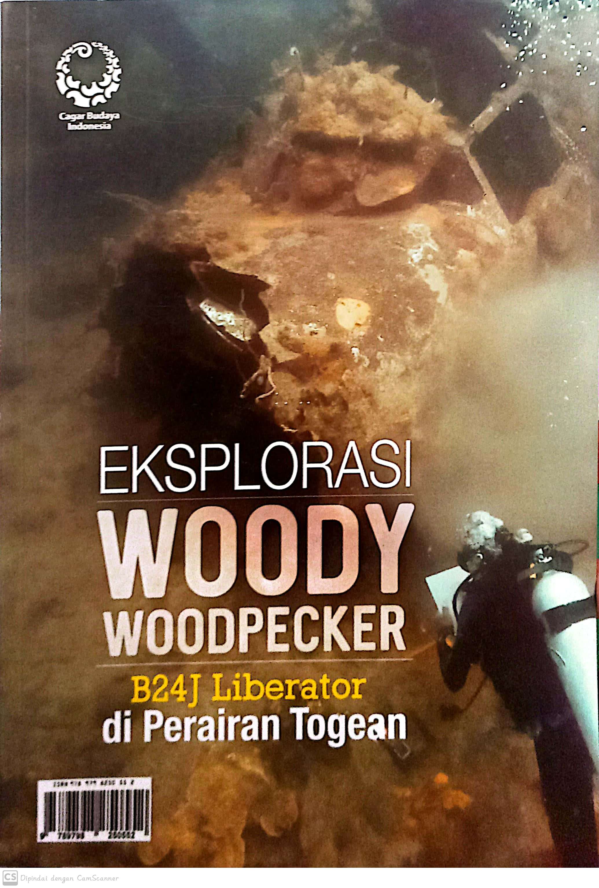 Eksplorasi Woody Woodpecker B24J Liberator Di Perairan togean