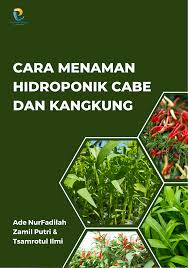 Cara menanam hidroponik cabe dan kangkung