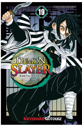Demon slayer : kimetsu no yaiba 19