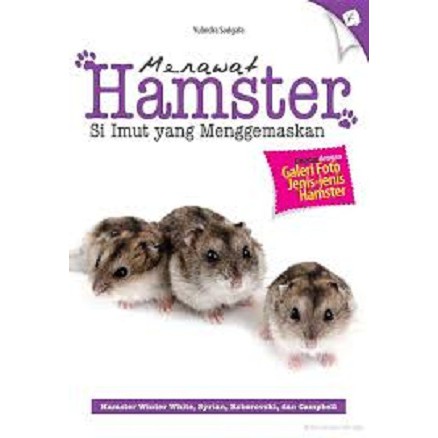 Merawat hamster si imut yang menggemaskan