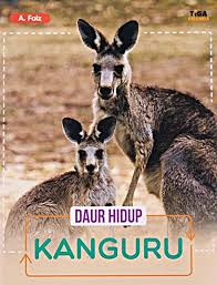 Daur hidup kanguru