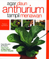 Agar Daun Anthurium tampil Menawan : Cara mudah dan praktis membuat si raja daun semakin eksotis