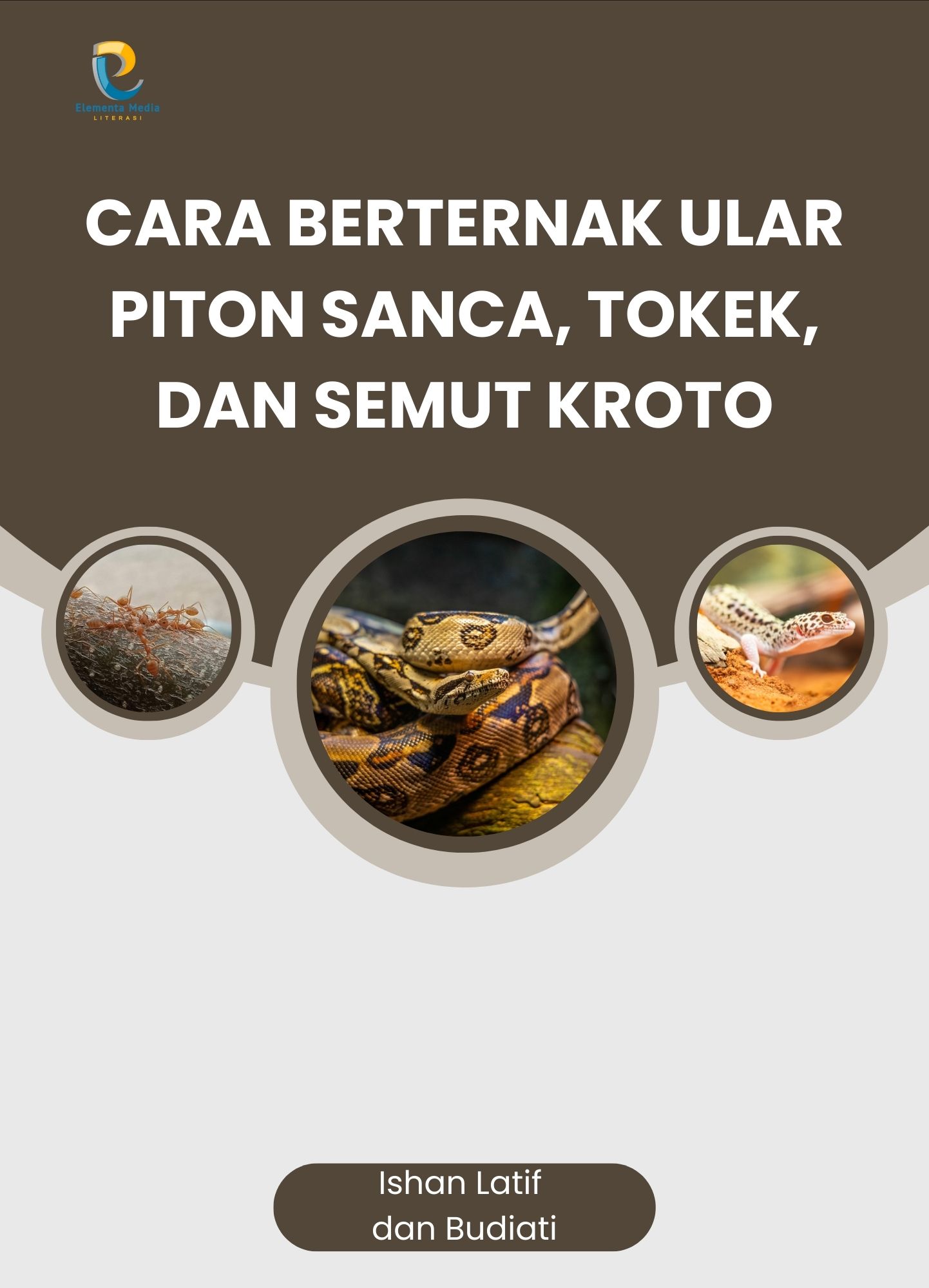 Cara berternak ular piton sanca, tokek, dan semut kroto
