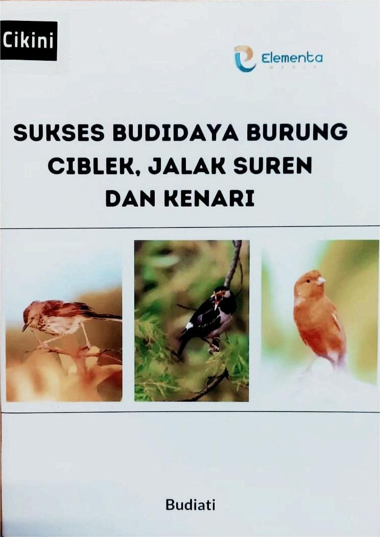Sukses budidaya burung ciblek, jalak suren dan burung kenari