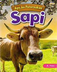 Ayo, ke peternakan Sapi