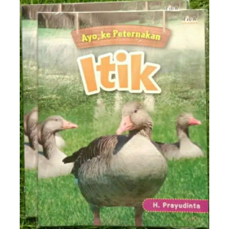 Ayo, ke Peternakan Itik