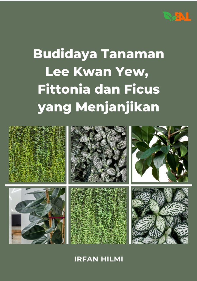 Budidaya tanaman Lee Kwan Yew, Fittonia dan Ficus yang menjanjikan