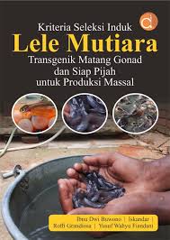 Kriteria seleksi induk lele mutiara transgenik matang gonad dan siap pijah untuk produksi massal