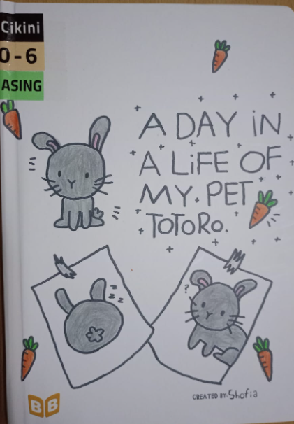 A day in a life of my pet totoro