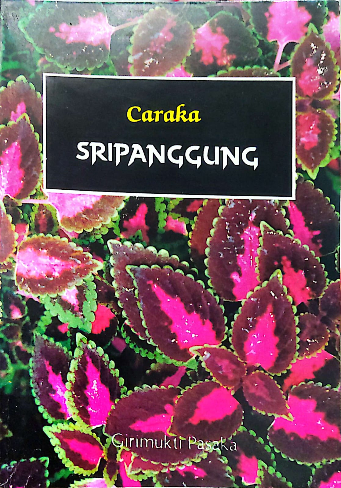 Sripanggung