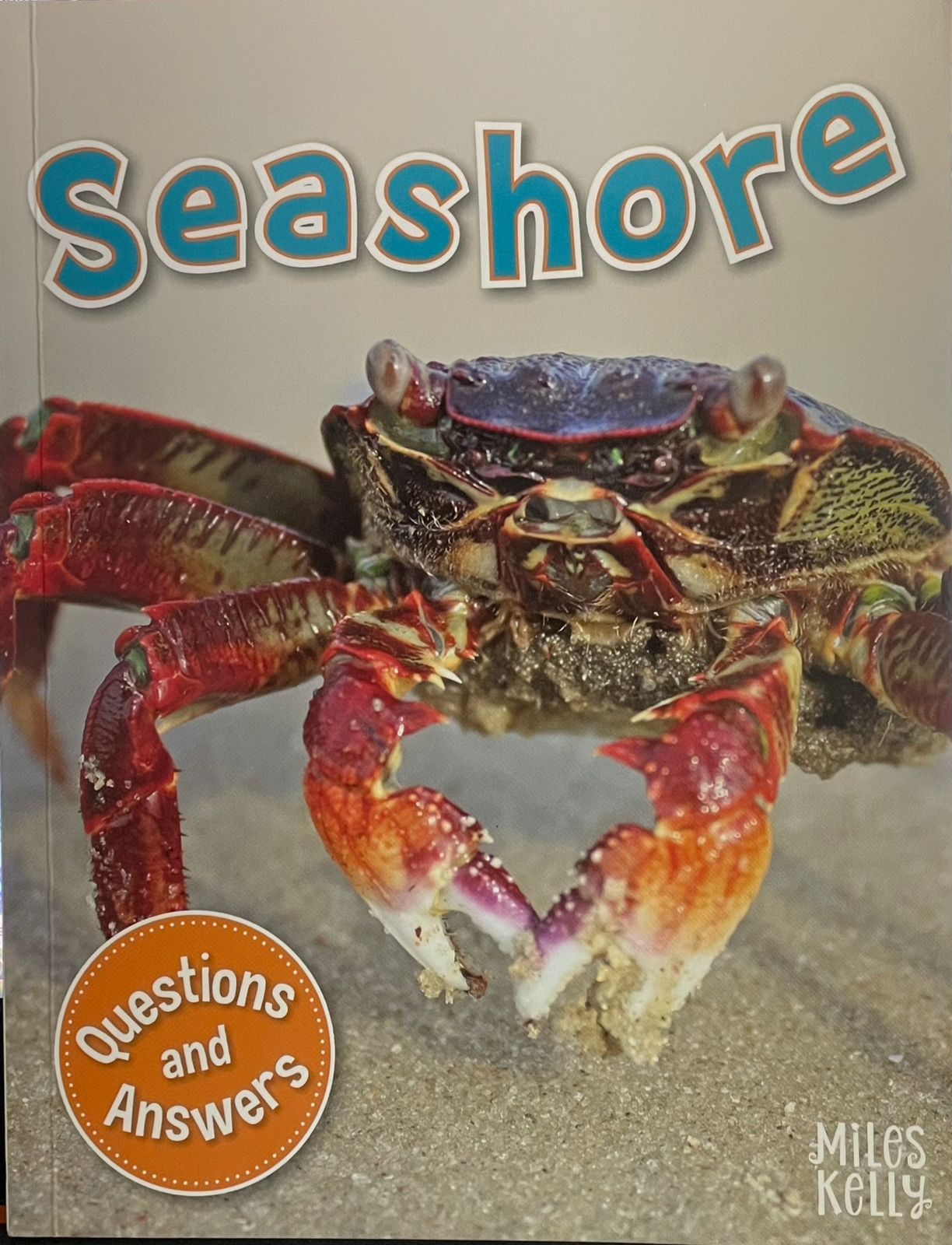 Seashore : questions and answers