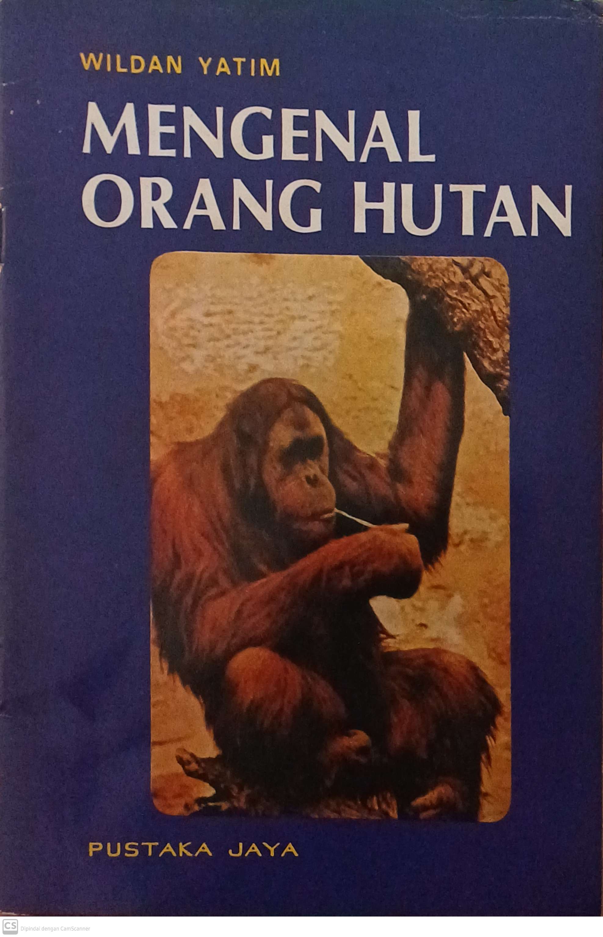 Mengenal orang hutan