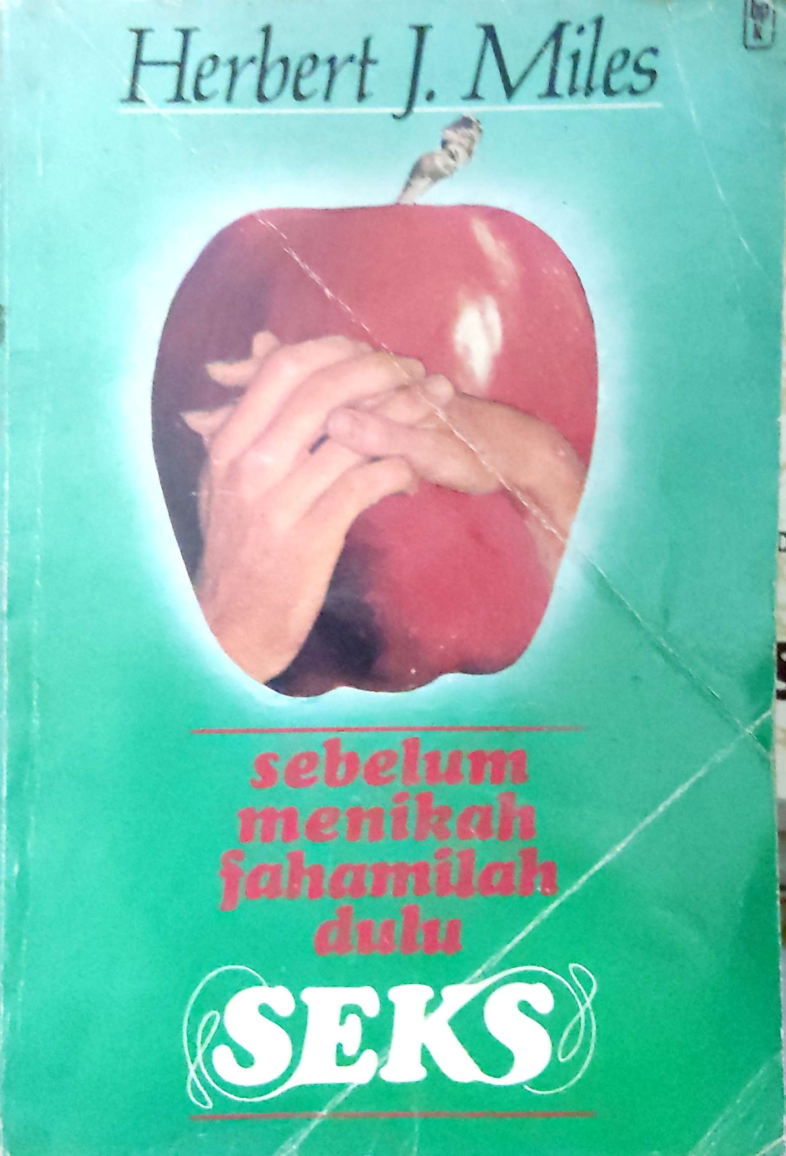 Sebelum Menikah Fahamilah dulu Seks